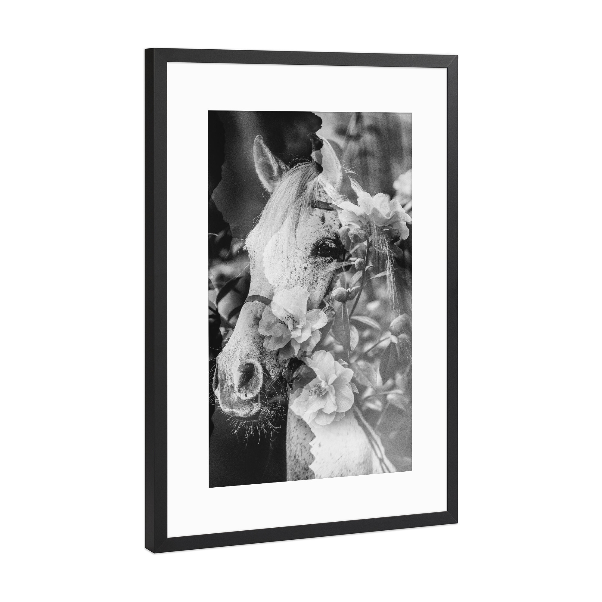 Poster mit Rahmen Schwarz (Metallic) "Floral horse by Tas" artboxONE - Floral,Tiere,Schwarzweiß