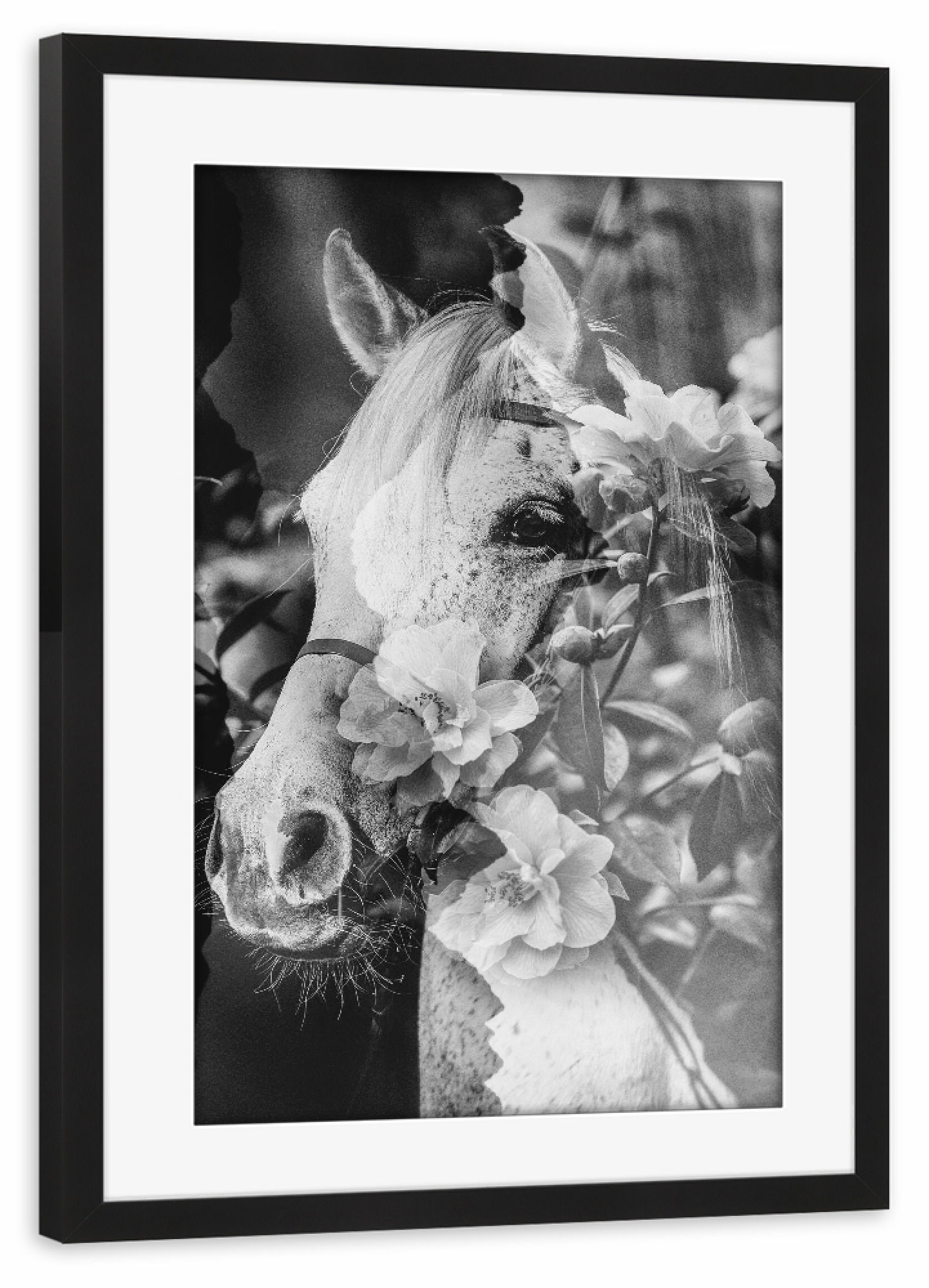 Poster mit Rahmen schwarz "Floral horse by Tas" artboxONE - Floral,Tiere,Schwarzweiß
