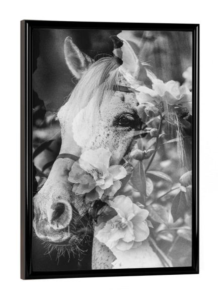 Poster mit schwarzem Rahmen "Floral horse by Tas" artboxONE - Floral,Tiere,Schwarzweiß