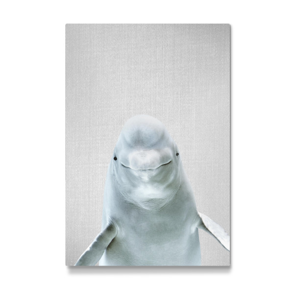 Galerie-Print "Beluga Whale - Colorful" 30x20 cm artboxONE