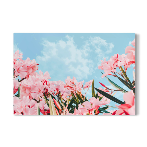 Galerie-Print "Blush Blossom-II" 30x20 cm artboxONE