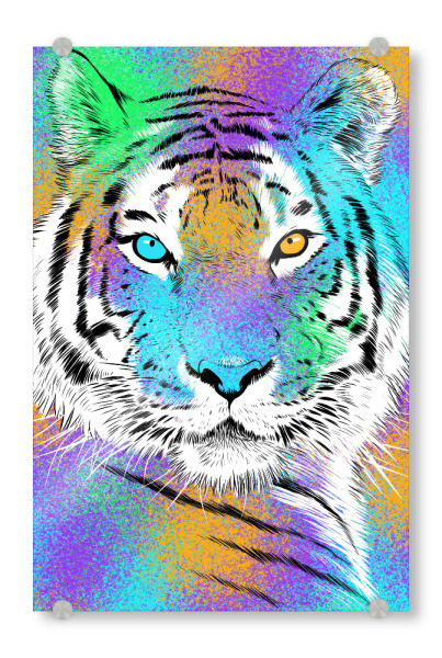 Acrylglasbild "Sketch Tiger rainbow" artboxONE - Tiere,Streetart - Tiger,Liger,Feline,Cat,Predator,Streetart,Hunter,Animal,Tier,Colorful,Bunt