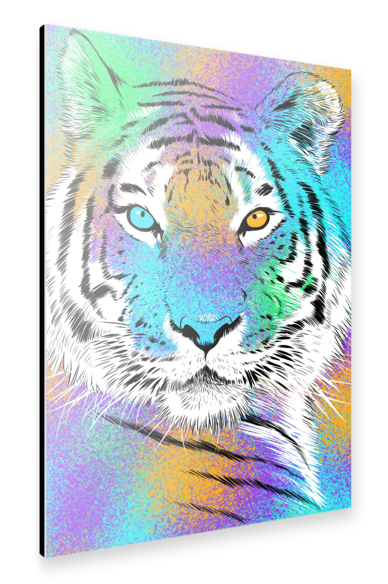 Alu-Dibond "Sketch Tiger rainbow" 75x50 cm artboxONE