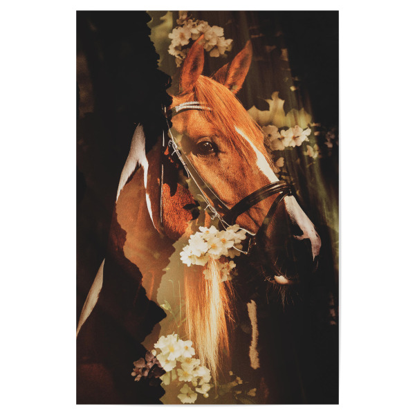 Poster "Spring horse" artboxONE - Natur,Floral,Tiere