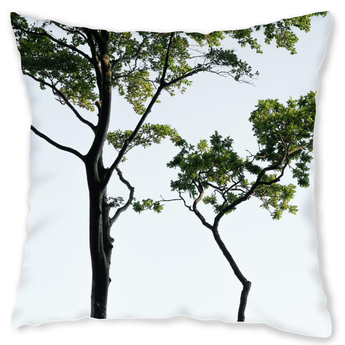 Design-Kissen "Silhouette geschwungener Bߤume" artboxONE - Natur,Reise