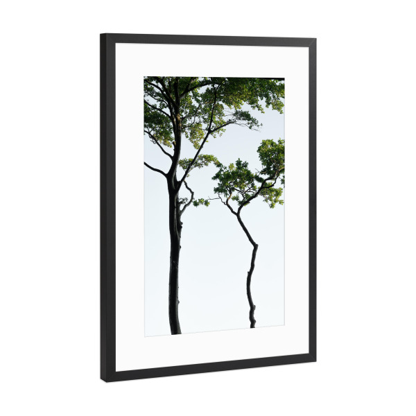 Poster mit Rahmen Schwarz (Metallic) "Silhouette geschwungener Bäume" artboxONE - Natur,Reise