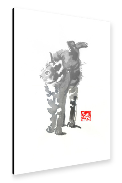 Alu-Dibond "Stretched cat" 30x20 cm artboxONE