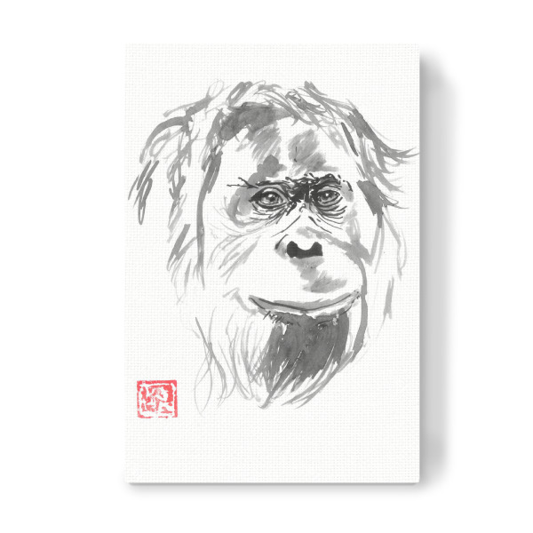 Leinwandbild "Orangutan face" artboxONE - Tiere - Orangutan,Sumie,Japan,Animal,Tier,Portrait,Natur,Nature