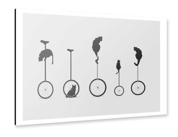 Alu-Dibond "Cats on Unicycle" 30x20 cm artboxONE