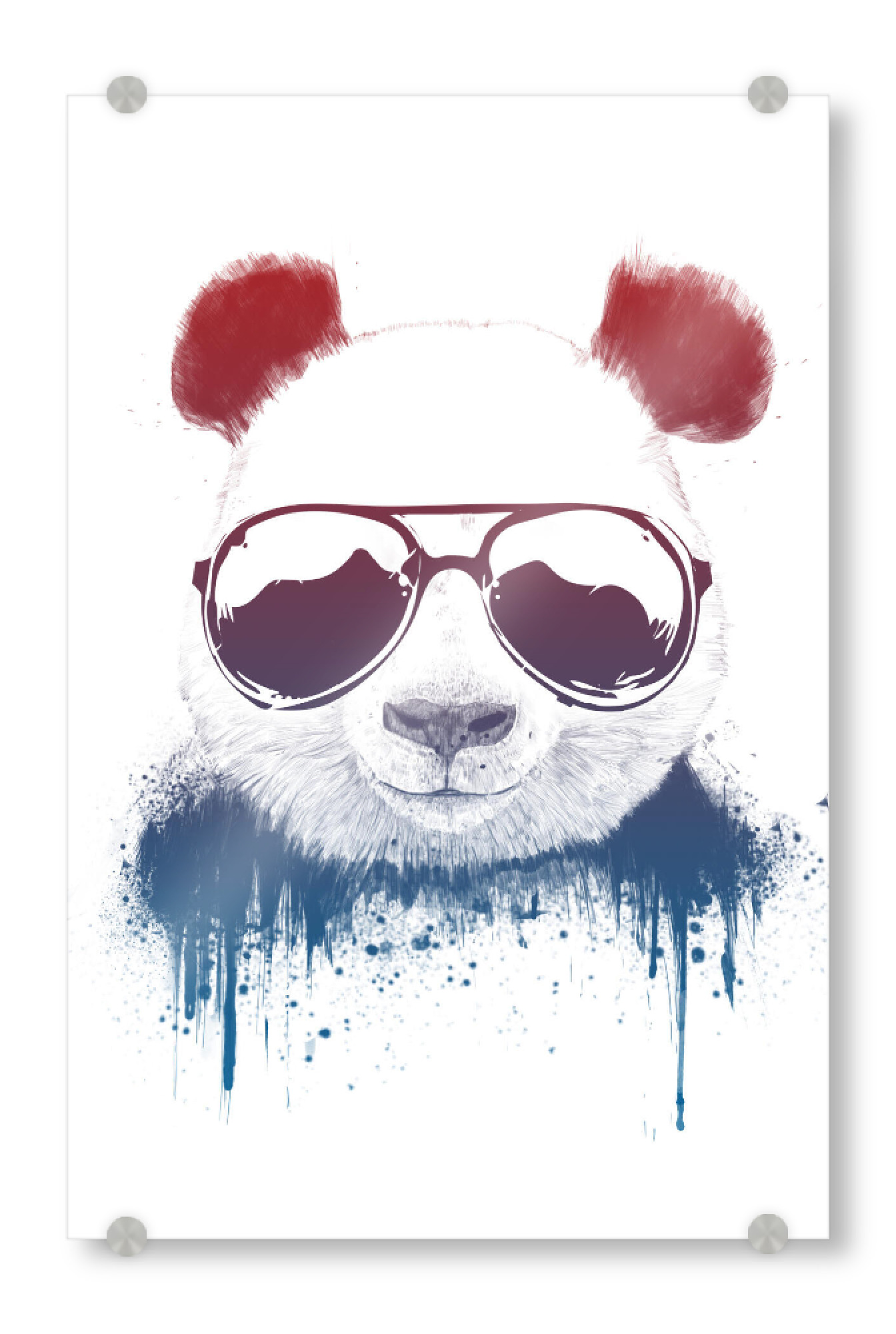 Acrylglasbild "Cool Panda with sunglasses" artboxONE - Tiere,Lustig