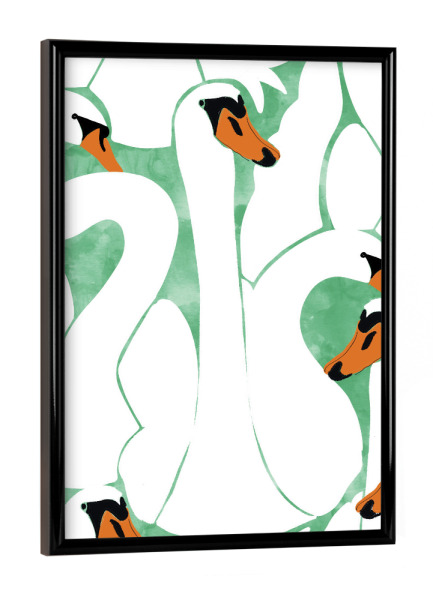 Poster mit schwarzem Rahmen "White Calm Was Born Into A Swan" artboxONE - Natur,Tiere