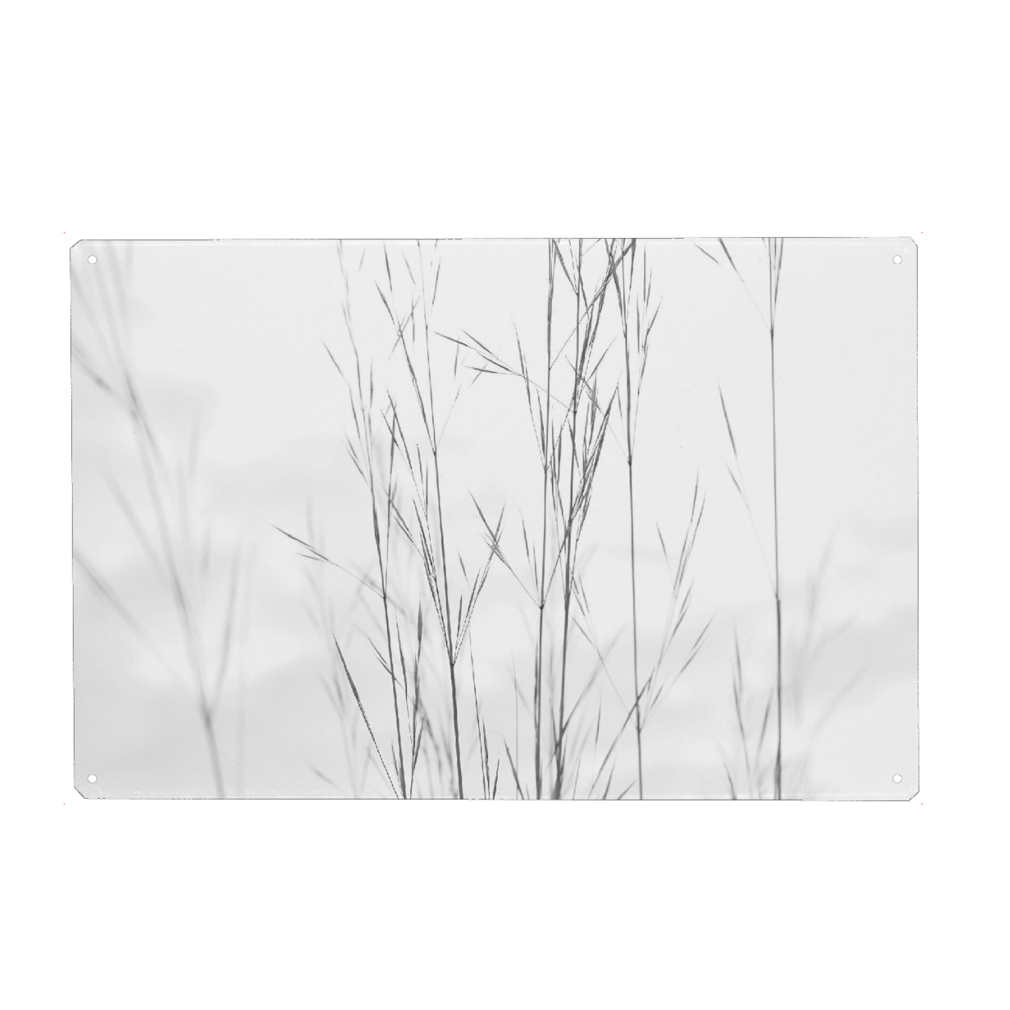 Metall Poster "Autumn Spirit" artboxONE - Natur,Floral - Gräser,Schwarzweiss,Blackandwhite,Minimal,Plant,Natur,Boho,Nature,Minimalistisch