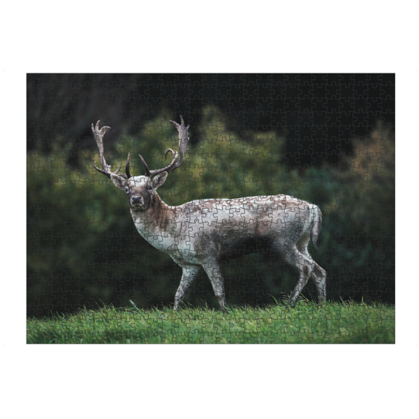 artboxONE Puzzle "Deer Love" artboxONE - Natur,Tiere - Wildlife,Wildtiere,Hirsch,Wald,Allgäu,Bayern,Natur,Nature,Deer,Reh - Bild wildlife
