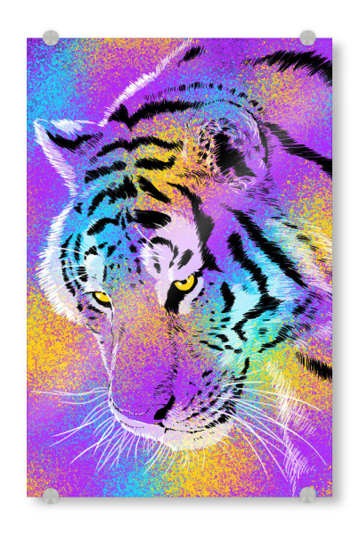 Acrylglasbild "Tiger rainbow colors" artboxONE - Tiere,Streetart - Feline,Riger,Cat,Predator,Colorful,Rainbow,Katze,Tier,Animal,Streetart,Bunt