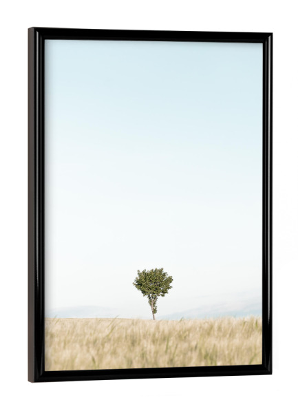 Poster mit schwarzem Rahmen "Einzelner Baum im Feld" artboxONE - Natur,Reise,Floral
