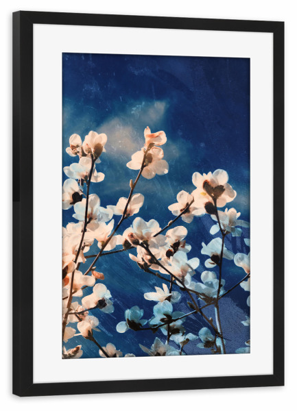 Poster mit Rahmen schwarz "Magnolia tree blossom" artboxONE - Natur,Floral