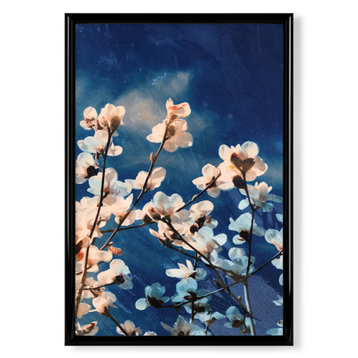 Magnolia tree blossom