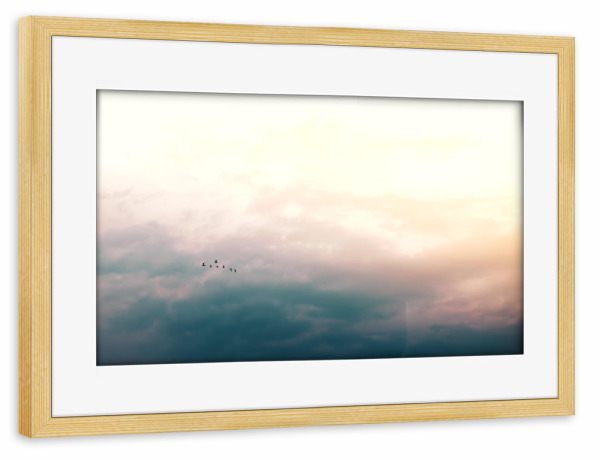 Poster mit Rahmen kiefer "Vögel in den Wolken" artboxONE - Natur,Reise,Tiere,Reise / Länder