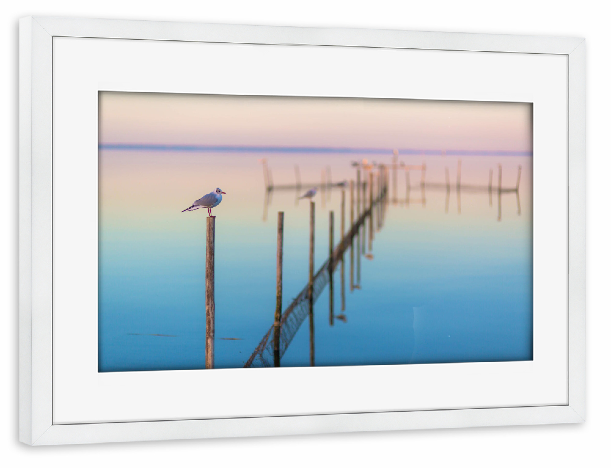 Poster mit Rahmen weiß "Stille am Meer" artboxONE - Natur,Tiere