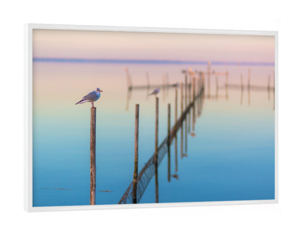 Poster mit weißem Rahmen "Stille am Meer" artboxONE - Natur,Tiere