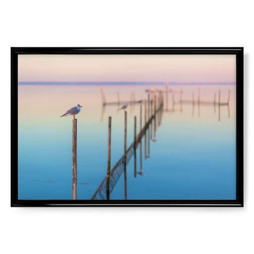 Stille am Meer Stille am Meer