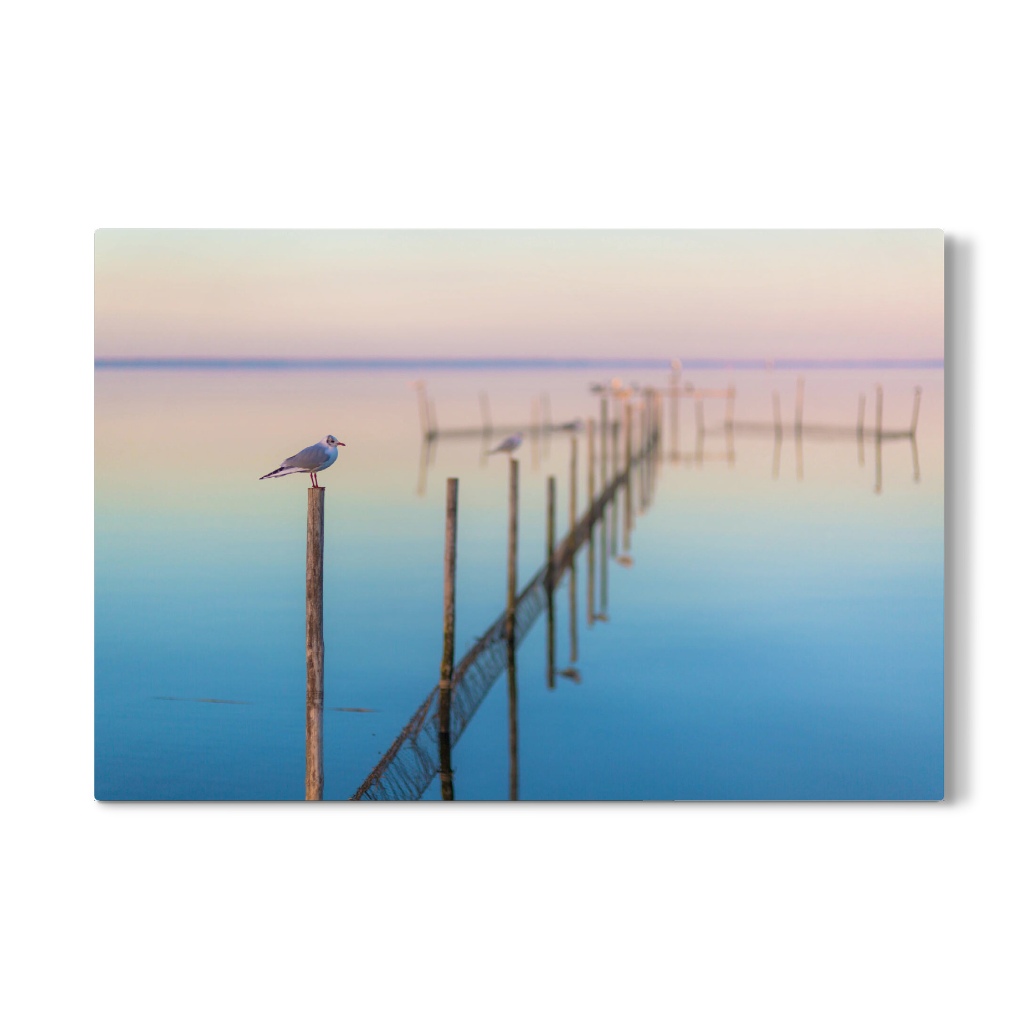 Galerie-Print "Stille am Meer" 75x50 cm artboxONE