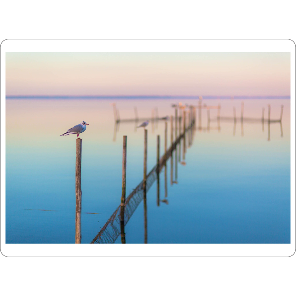 Tischset "Stille am Meer" artboxONE - Natur,Tiere