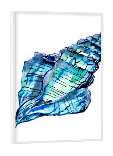 Poster mit weißem Rahmen "Blue Conch Seashell" artboxONE - Tiere,Unterwasser