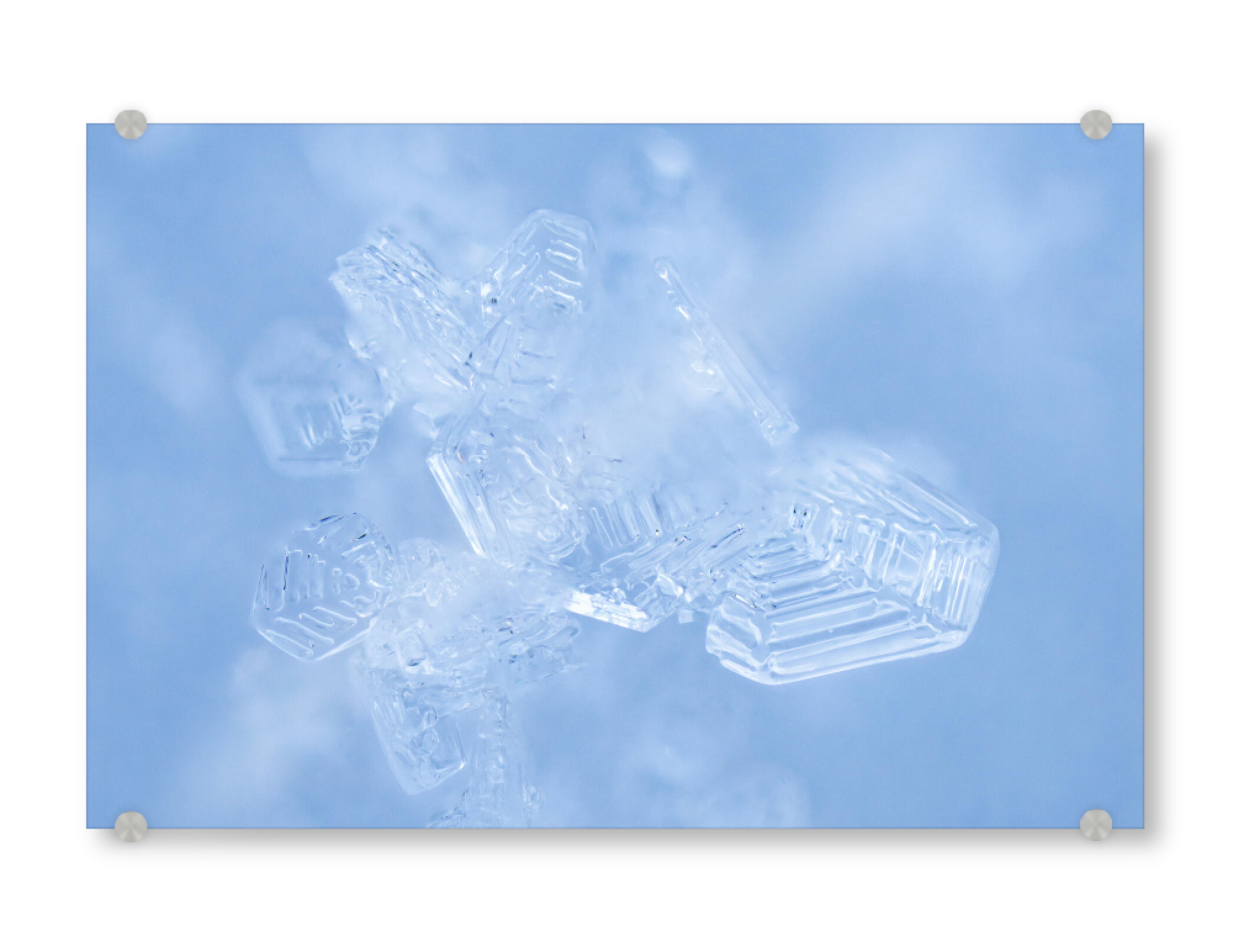 Acrylglasbild "Schneekerne" artboxONE - Natur