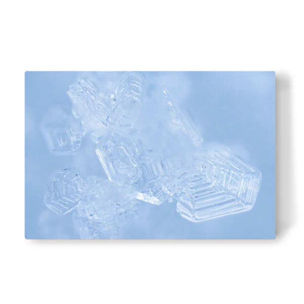 Leinwandbild "Schneekerne" artboxONE - Natur