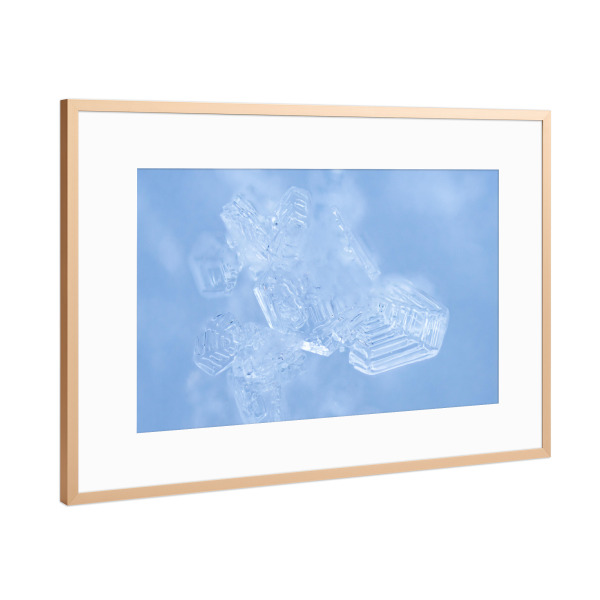 Poster mit Rahmen Kupfer "Schneekerne" artboxONE - Natur