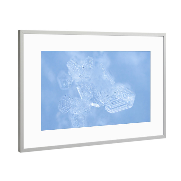 Poster mit Rahmen Silber "Schneekerne" artboxONE - Natur