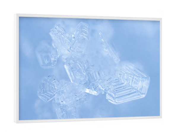 Poster mit weißem Rahmen "Schneekerne" artboxONE - Natur