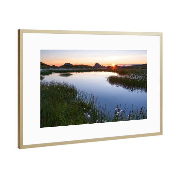Poster mit Rahmen Gold "Glitzern derNatur" artboxONE - Natur