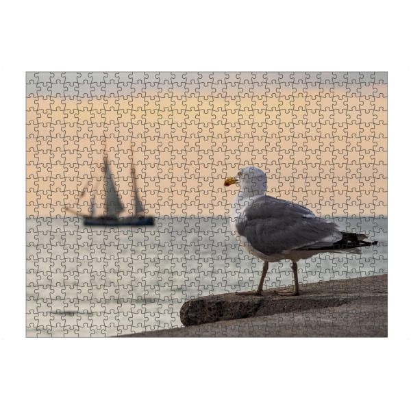 artboxONE Puzzle "Segelschiff und Möwe" artboxONE - Tiere,Reise / Strand und Meer