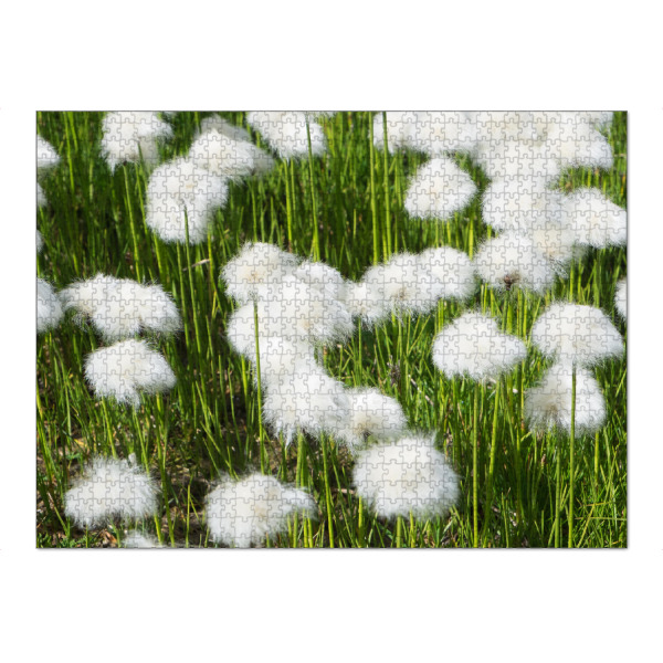 Puzzle Ravensburger "Wollgras" artboxONE - Natur,Floral