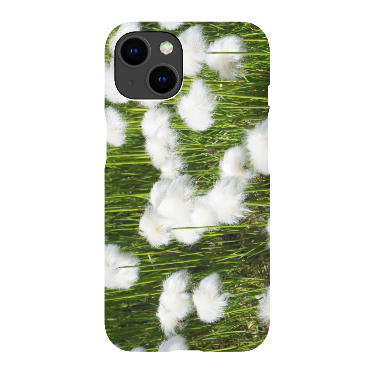 iPhone "Wollgras" Premium-Case Handyhülle artboxONE