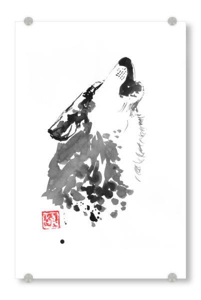 Acrylglasbild "Cry wolf" artboxONE - Tiere - Wolf,Sumie,Dog,Japan,Animal,Tier,Schwarzweiß,Blackandwhite,Heulen