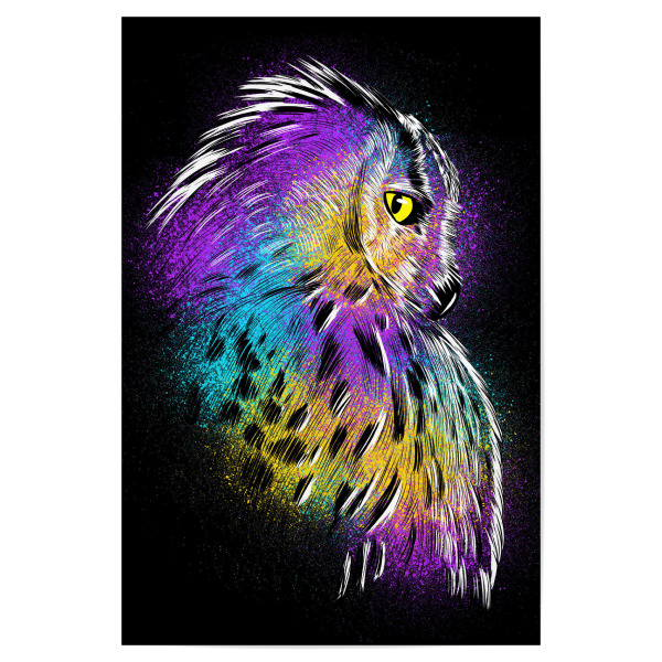 Poster "Sketch Owl colorful" artboxONE - Tiere,Streetart - Sketch,Colorful,Rainbow,Owl,Bird,Hunter,Bunt,Eule,Tier,Animal,Vogel,Streetart