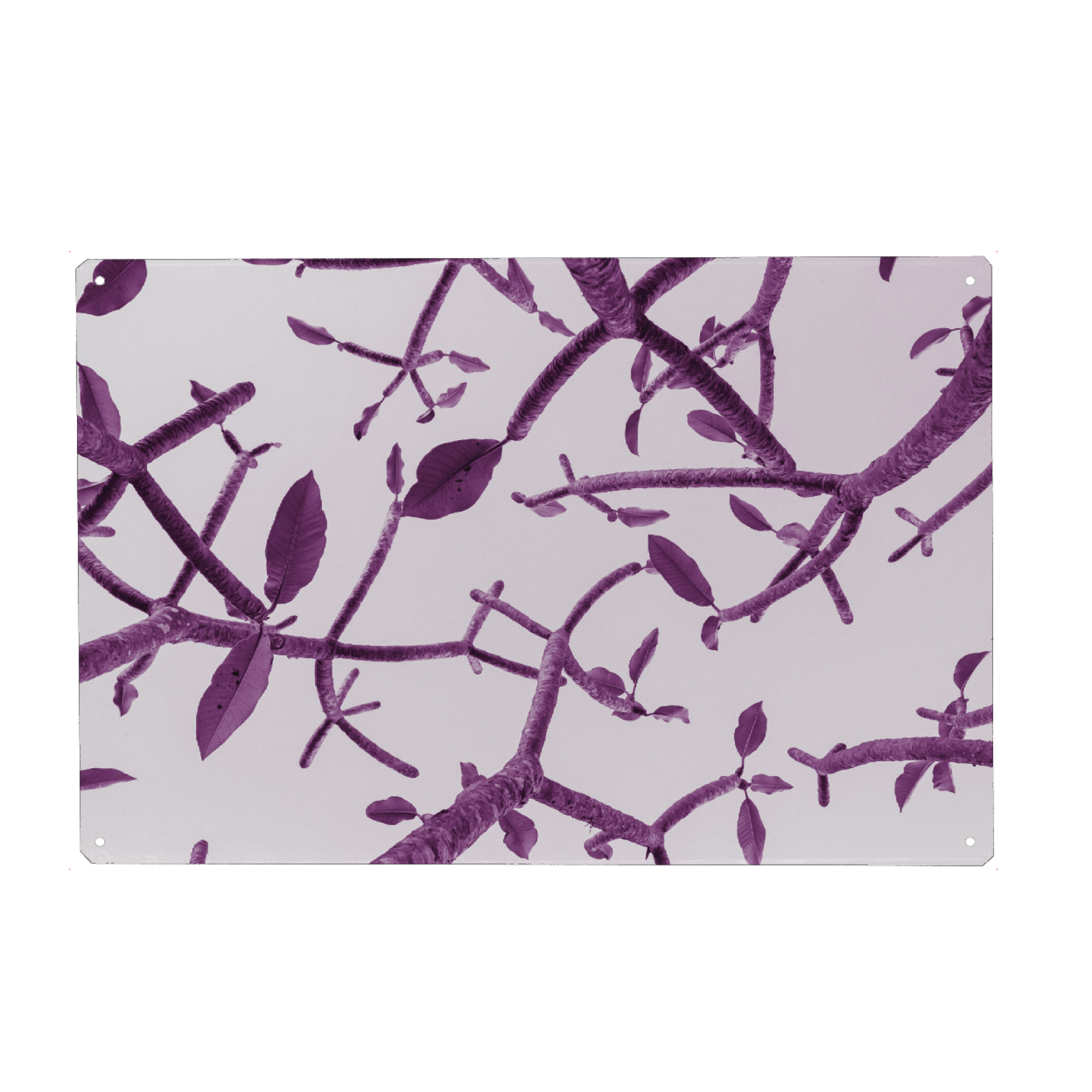 Holzbild "Purple Twigs" artboxONE - Natur,Floral,Abstrakt