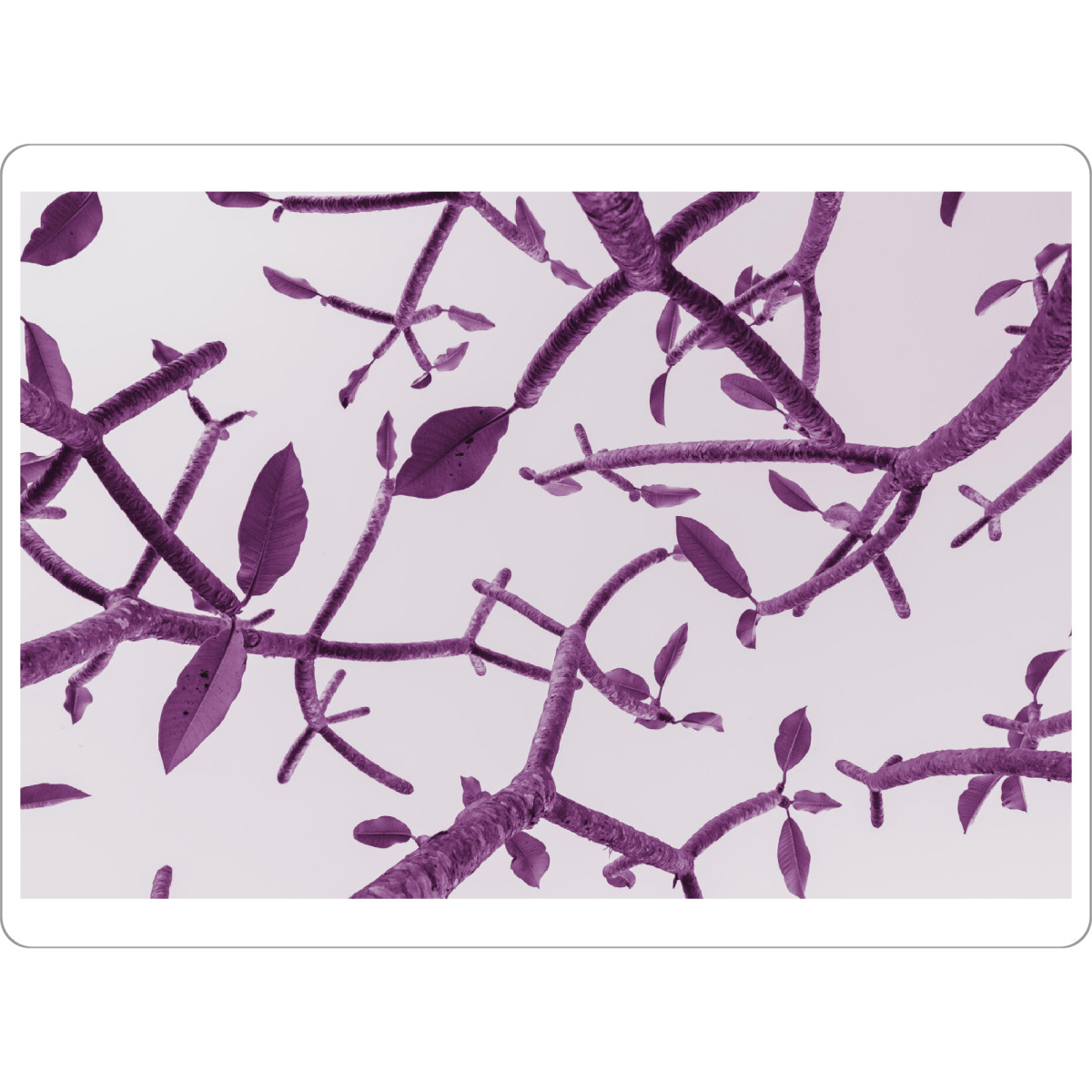 Tischset "Purple Twigs" artboxONE - Natur,Floral,Abstrakt