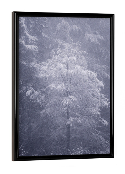 Poster mit schwarzem Rahmen "Federn im Nebel" artboxONE - Natur