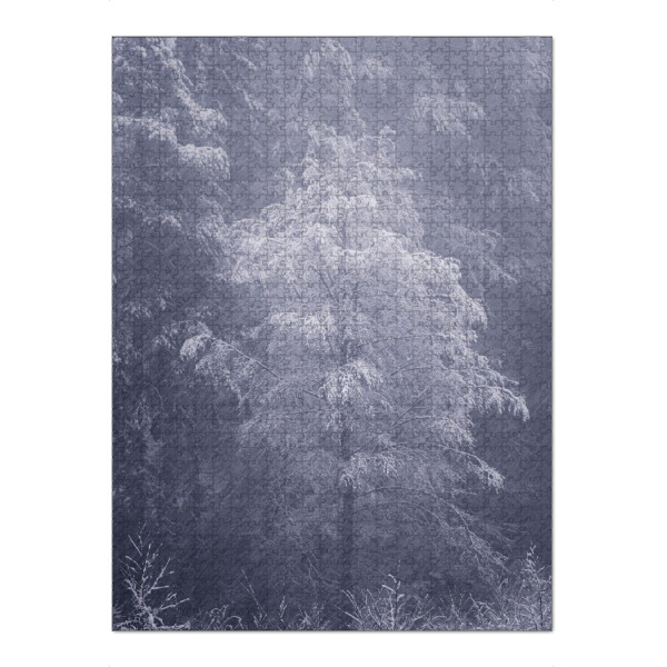 Puzzle Ravensburger "Federn im Nebel" artboxONE - Natur