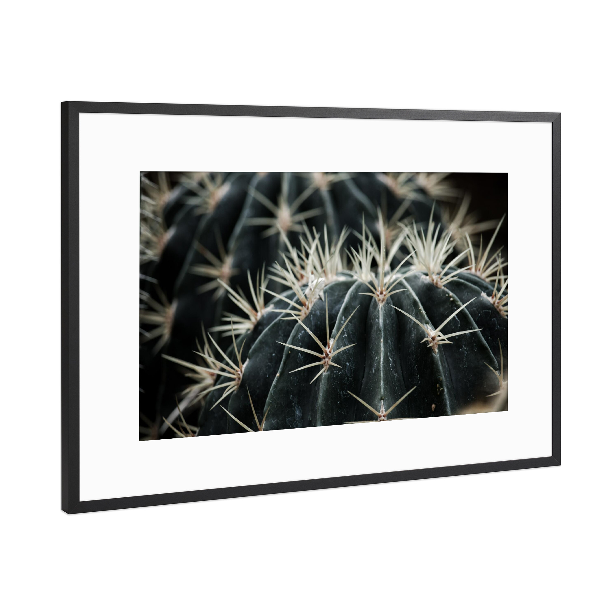 Poster mit Rahmen Schwarz (Metallic) "Dark Moody Cactus" artboxONE - Natur,Reise,Floral