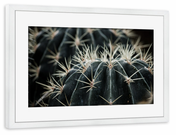 Poster mit Rahmen weiß "Dark Moody Cactus" artboxONE - Natur,Reise,Floral
