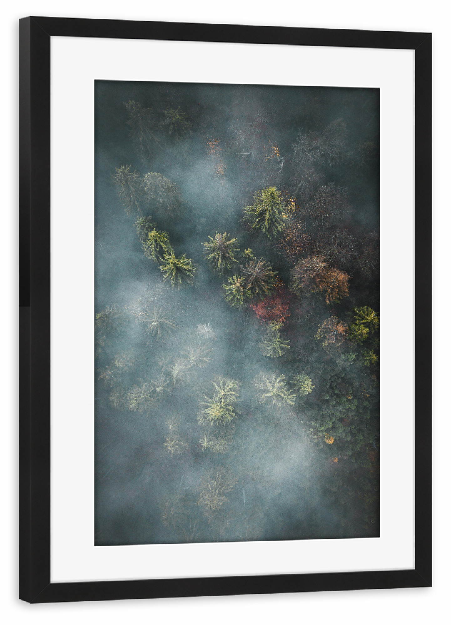 Poster mit Rahmen schwarz "Nebeliger Wald von oben" artboxONE - Natur,Reise,Floral