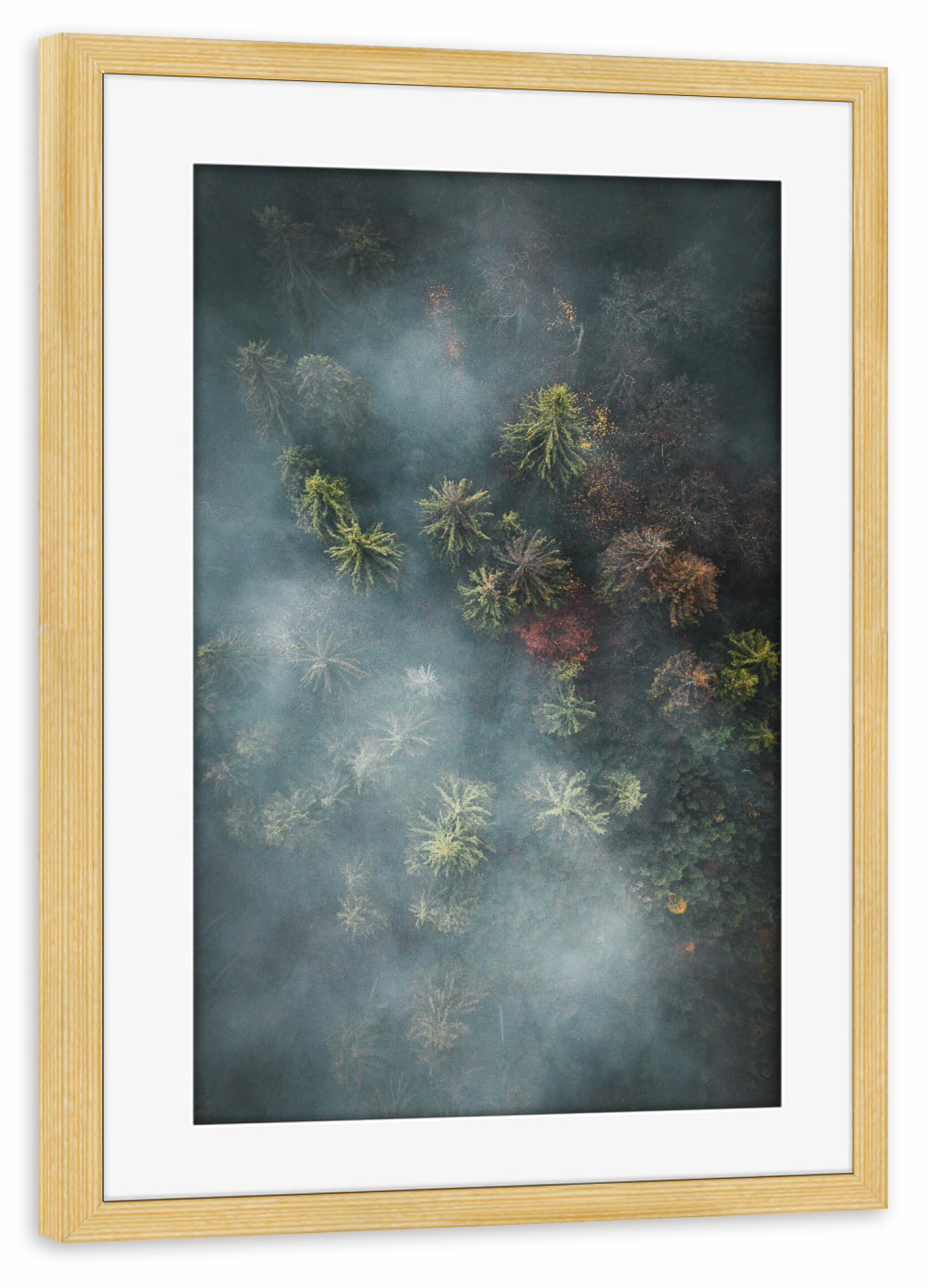 Poster mit Rahmen kiefer "Nebeliger Wald von oben" artboxONE - Natur,Reise,Floral
