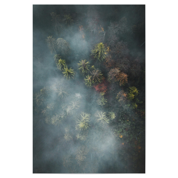 Poster 30x20 cm "Nebeliger Wald von oben" artboxONE - Natur,Reise,Floral