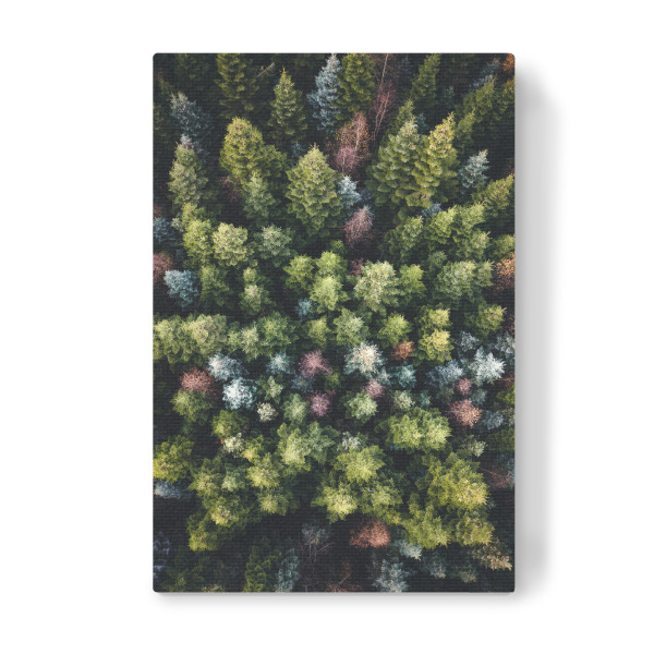 Leinwandbild "Bunte Nadelbäume von oben" artboxONE - Natur,Reise,Weihnachten
