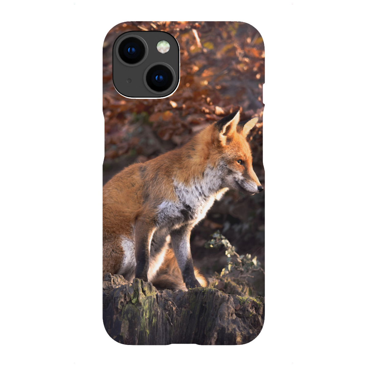 "Sitzender Fuchs"für iPhone - Premium-Case Handyhülle artboxONE